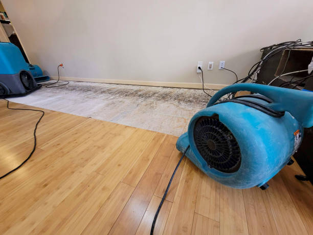 Professional Emergency Water Damage technician working in Sanford, FL